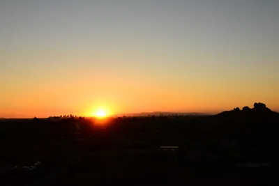 DSC_1478 (Large).JPG